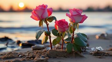 tre rosa Rose siamo in crescita su di il sabbia su il spiaggia generativo ai foto