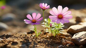 Due rosa fiori siamo in crescita su di il terra generativo ai foto