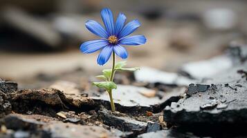 un' blu fiore è in crescita su di un' crepa nel il terra generativo ai foto