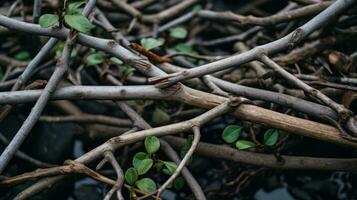 un' mazzo di ramoscelli e le foglie su il terra generativo ai foto
