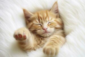 rosso gattino, gatto addormentato carino su bianca pelliccia. generativo ai foto