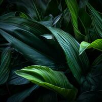 un' vicino su di verde le foglie su un' buio sfondo generativo ai foto