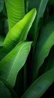 un' vicino su di verde le foglie su un' buio sfondo generativo ai foto