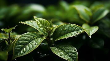 un' vicino su di verde le foglie con acqua goccioline su loro generativo ai foto