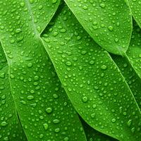 un' vicino su Visualizza di verde le foglie con acqua goccioline generativo ai foto