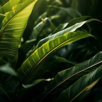 un' vicino su Visualizza di alcuni verde le foglie generativo ai foto