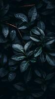 un' buio sfondo con le foglie e acqua goccioline generativo ai foto