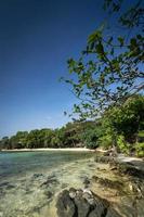 baia sull'albero a koh ta kiev isola paradisiaca in cambogia foto