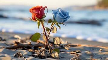 Due rosso e blu Rose in crescita su di il sabbia su il spiaggia generativo ai foto