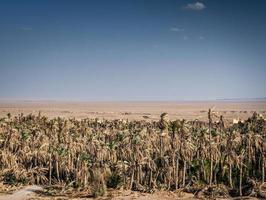 Vista del paesaggio del deserto nell'oasi di Garmeh vicino a Yazd Iran meridionale