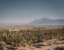 Vista del paesaggio del deserto nell'oasi di Garmeh vicino a Yazd Iran meridionale