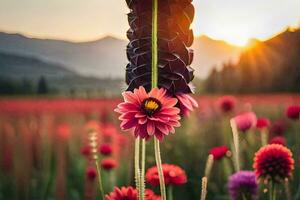 fiori nel un' campo a tramonto. ai-generato foto