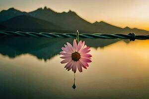 un' rosa fiore è sospeso a partire dal un' filo al di sopra di un' lago. ai-generato foto