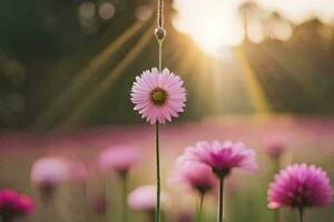 rosa fiori nel un' campo con il sole splendente. ai-generato foto