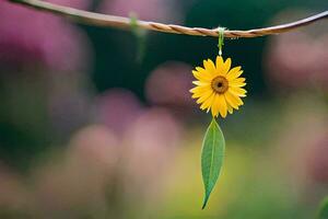 un' singolo giallo fiore è sospeso a partire dal un' ramo. ai-generato foto