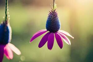 Due viola fiori sospeso a partire dal un' vite. ai-generato foto