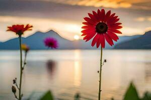 rosso fiori nel davanti di un' lago a tramonto. ai-generato foto