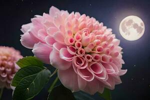 rosa fiori con il Luna nel il sfondo. ai-generato foto