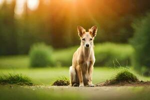 un' piccolo cane seduta su il terra nel il sole. ai-generato foto