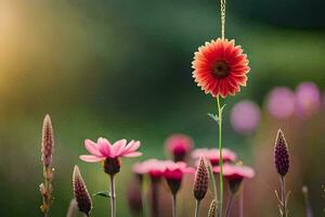 foto sfondo il sole, fiori, il sole, fiori, il sole, fiori, il sole. ai-generato