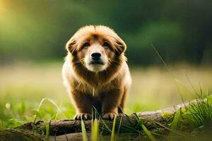 un' cane in piedi su un' log nel il erba. ai-generato foto