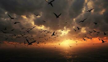 uccelli volare cielo foto