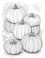 zucca colorazione pagina per Halloween o ringraziamento foto