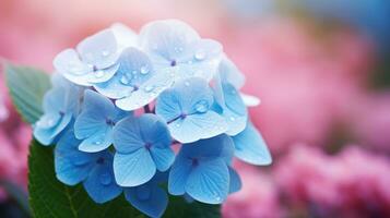 bellissimo ortensia nel verde giardino Spettacoli il freschezza di natura. generativo ai foto