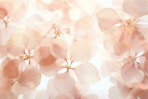 mazzo pianta sfondo Vintage ▾ natura fiore bellezza fiorire delicato floreale rosa fioritura morbido foto