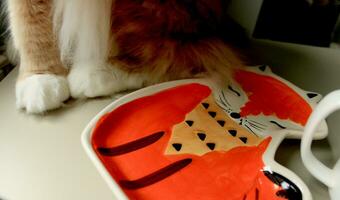 autunno foto. piatto con Volpe e gatto seduta su il tavolo. un' piatto nel il modulo di un' Volpe. superiore Visualizza. gatti zampe. pelliccia e carino. foto