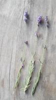 germogli freschi di fiori di lavanda su un vecchio tavolo di legno foto