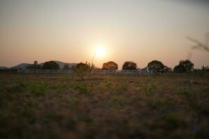 tramonto a un' azienda agricola nel Tailandia , sfondo immagine , leggero e ombra scopo. foto