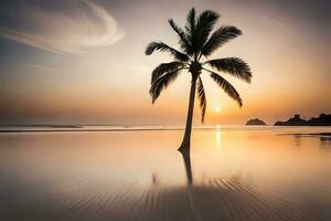 un' palma albero sta su il spiaggia a tramonto. ai-generato foto