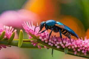 un' blu e nero ape su rosa fiori. ai-generato foto