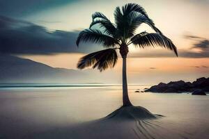 un' palma albero sta solo su un' spiaggia a tramonto. ai-generato foto