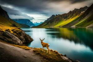 il cervo è in piedi su il bordo di il lago. ai-generato foto