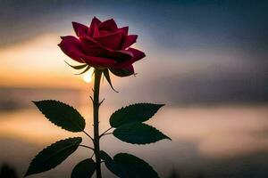 un' singolo rosso rosa è staglia contro il tramonto. ai-generato foto