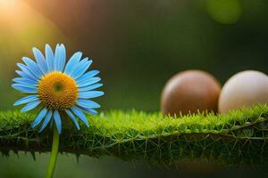 foto sfondo il sole, fiori, erba, il verde, il fiore, il blu, il. ai-generato