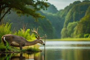 un' cervo è in piedi nel il acqua vicino un' fiume. ai-generato foto