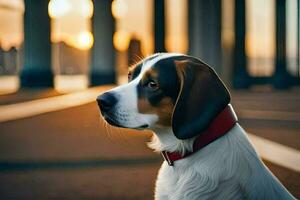 un' cane è seduta su il terra con il sole ambientazione dietro a esso. ai-generato foto