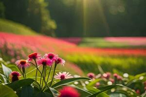 fiori nel il sole. ai-generato foto