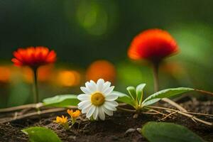 foto sfondo il fiori, molla, il giardino, il fiori, il fiori, il fiori,. ai-generato