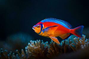 un' colorato pesce è seduta su superiore di un anemone. ai-generato foto