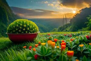 il sole sorge al di sopra di un' campo di fiori e cactus. ai-generato foto