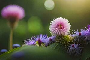 viola fiori siamo nel il sole con verde le foglie. ai-generato foto