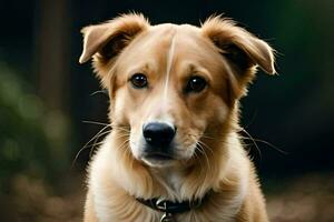 un' cane con un' collare e un' guinzaglio. ai-generato foto