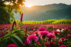 foto sfondo campo, il sole, fiori, rosa, campo, campo di fiori, campo di. ai-generato