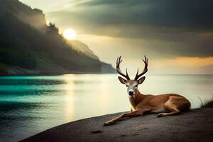 un' cervo posa su il riva a tramonto. ai-generato foto