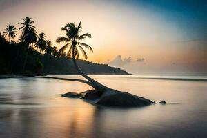 un' solitario palma albero su un' roccia nel il oceano a tramonto. ai-generato foto