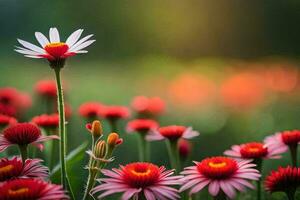 foto sfondo il cielo, fiori, il sole, il fiori, il sole, il fiori,. ai-generato